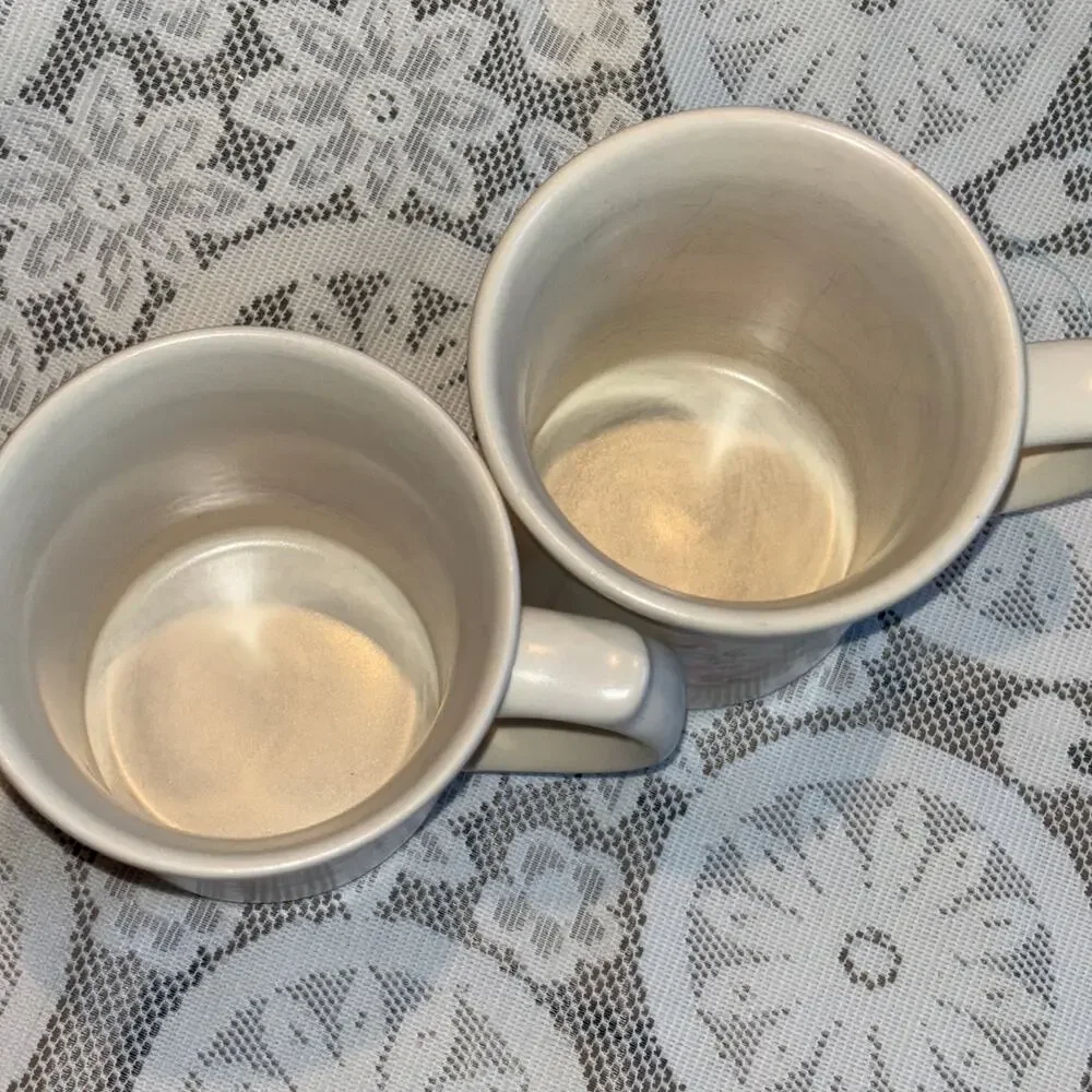 Vintage Pfaltzgraff USA Tea Rose Ceramic Set of 2 Mugs USA 80s Cottage Chic